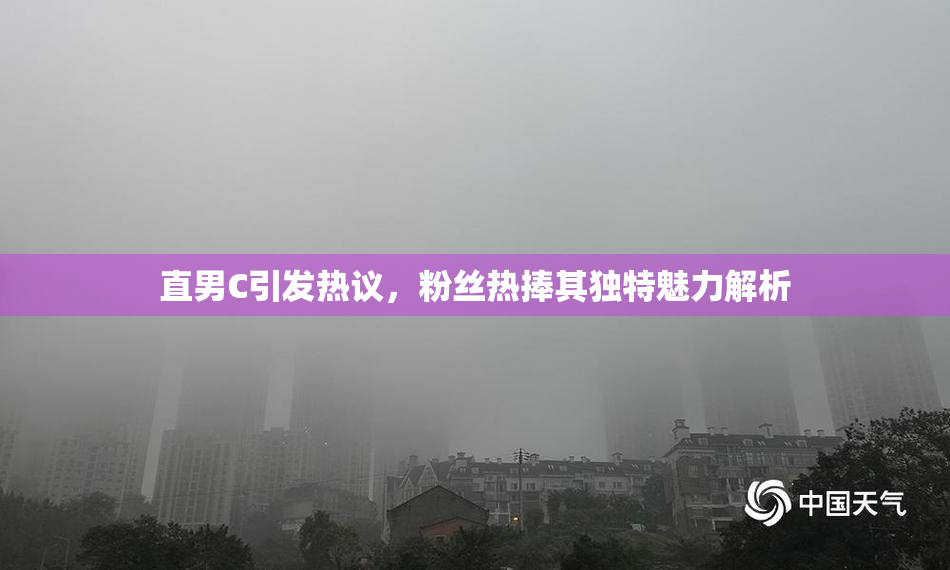 直男C引发热议，粉丝热捧其独特魅力解析
