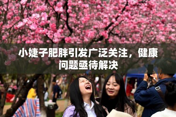 小婕子肥胖引发广泛关注，健康问题亟待解决
