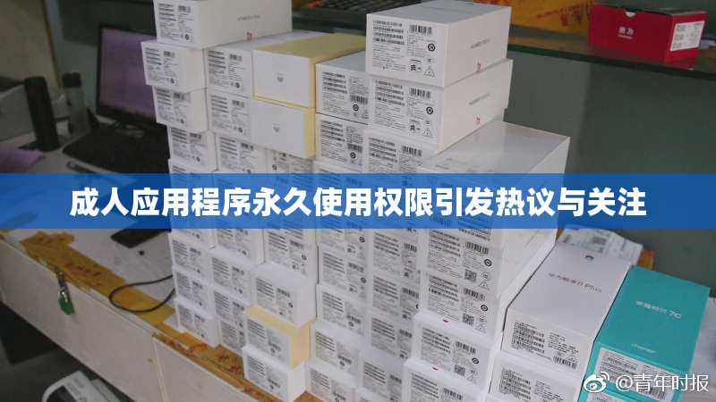 成人应用程序永久使用权限引发热议与关注