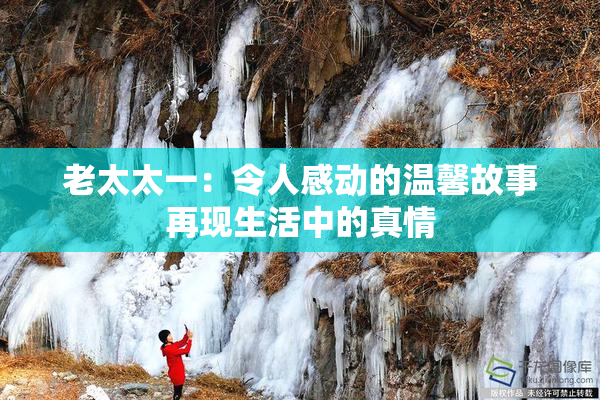 老太太一：令人感动的温馨故事再现生活中的真情