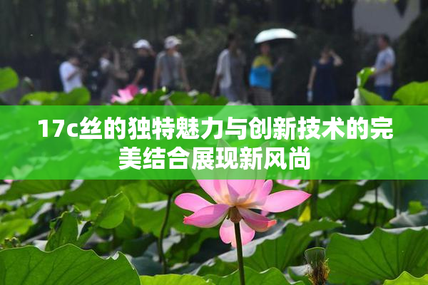 17c丝的独特魅力与创新技术的完美结合展现新风尚