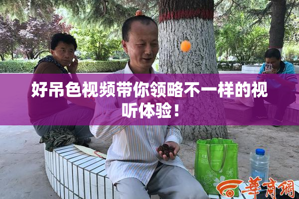 好吊色视频带你领略不一样的视听体验！