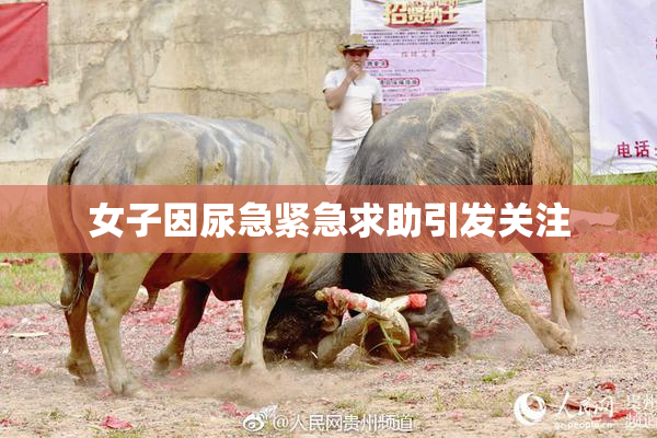 女子因尿急紧急求助引发关注