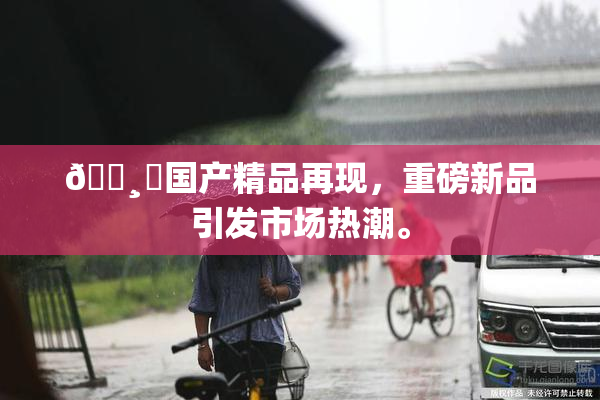 🌸‌国产精品再现，重磅新品引发市场热潮。