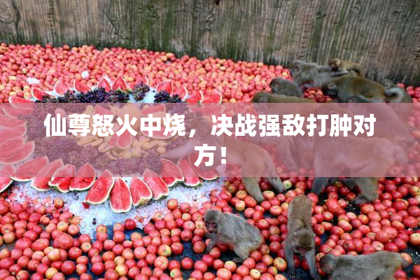 仙尊怒火中烧，决战强敌打肿对方！