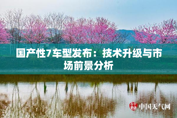 国产性7车型发布：技术升级与市场前景分析