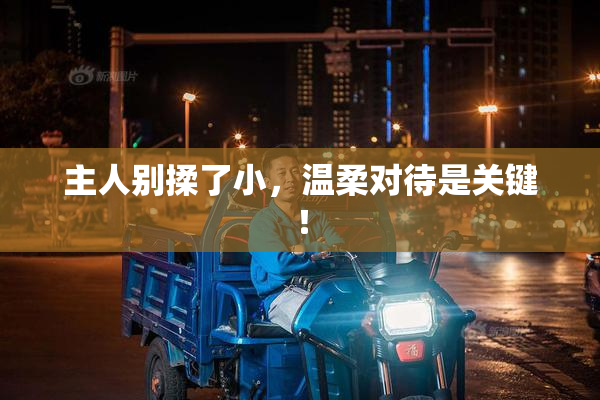主人别揉了小，温柔对待是关键！