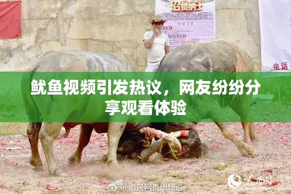 鱿鱼视频引发热议，网友纷纷分享观看体验