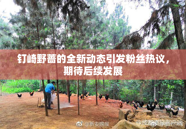 钉崎野蔷的全新动态引发粉丝热议，期待后续发展