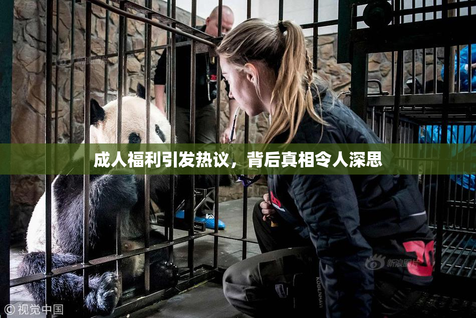 成人福利引发热议，背后真相令人深思