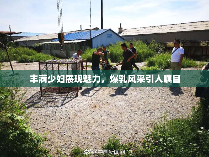 丰满少妇展现魅力，爆乳风采引人瞩目