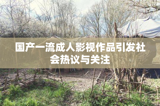 国产一流成人影视作品引发社会热议与关注