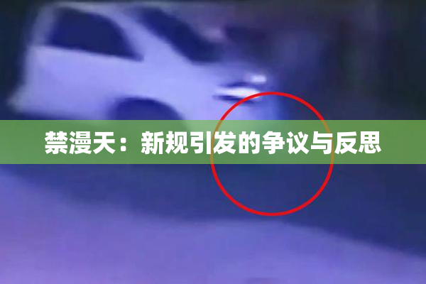 禁漫天：新规引发的争议与反思