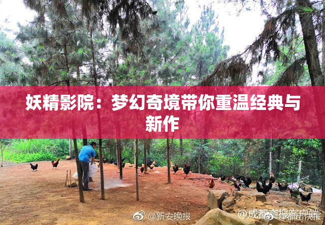 妖精影院：梦幻奇境带你重温经典与新作