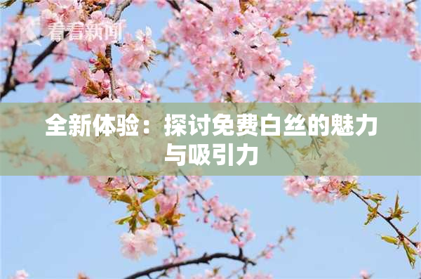 全新体验：探讨免费白丝的魅力与吸引力