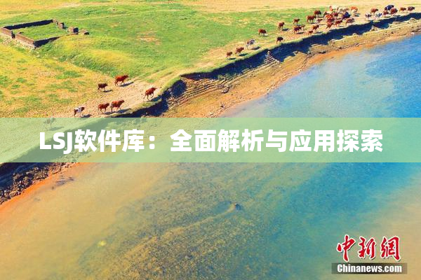 LSJ软件库：全面解析与应用探索