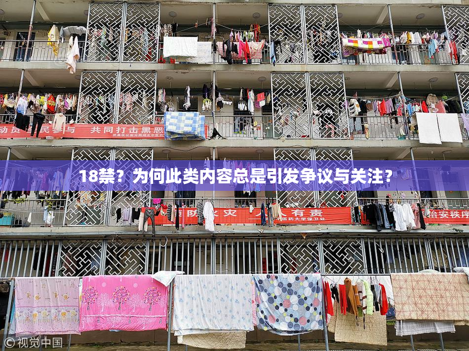 18禁？为何此类内容总是引发争议与关注？