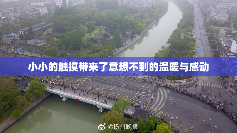 小小的触摸带来了意想不到的温暖与感动