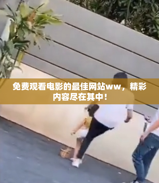 免费观看电影的最佳网站ww，精彩内容尽在其中！