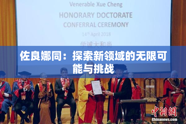 佐良娜同：探索新领域的无限可能与挑战