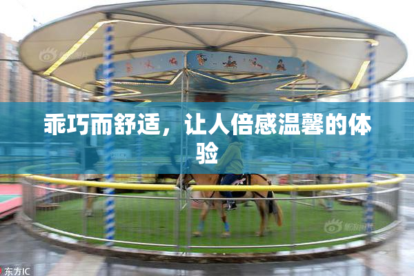 乖巧而舒适，让人倍感温馨的体验