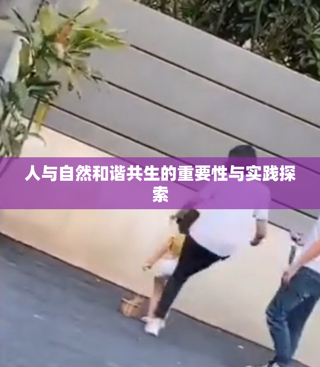 人与自然和谐共生的重要性与实践探索