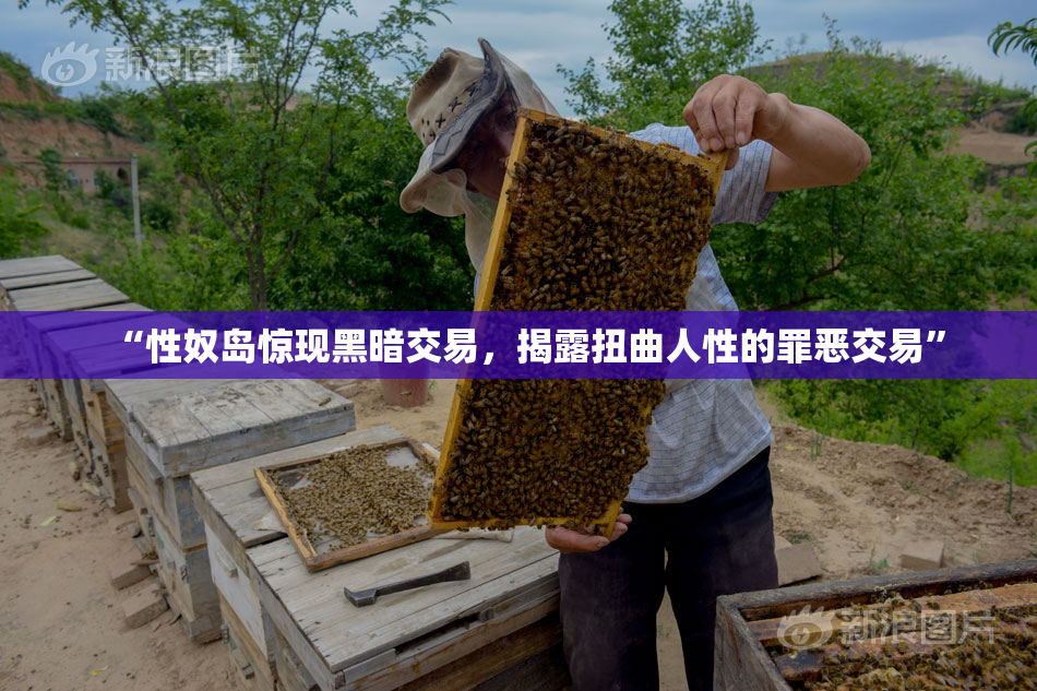 “性奴岛惊现黑暗交易，揭露扭曲人性的罪恶交易”