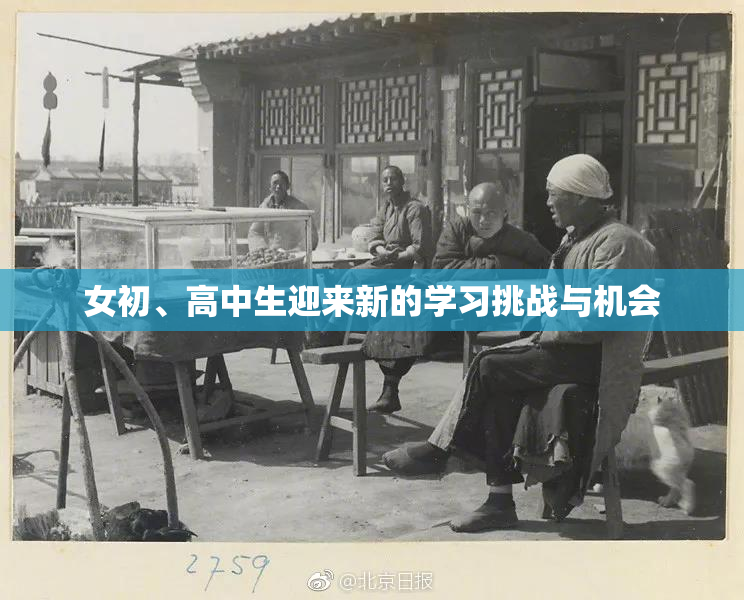 女初、高中生迎来新的学习挑战与机会