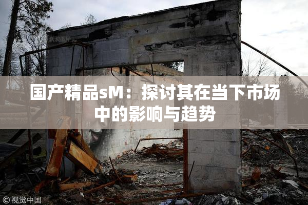 国产精品sM：探讨其在当下市场中的影响与趋势