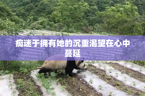 痴迷于拥有她的沉重渴望在心中蔓延