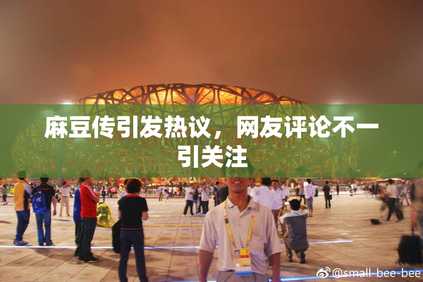 麻豆传引发热议，网友评论不一引关注