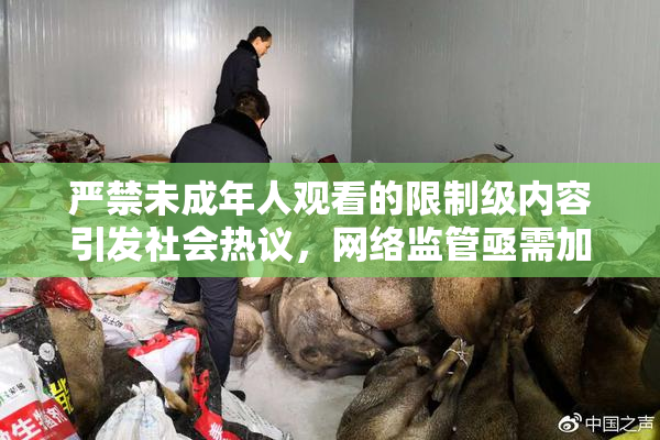严禁未成年人观看的限制级内容引发社会热议，网络监管亟需加强！