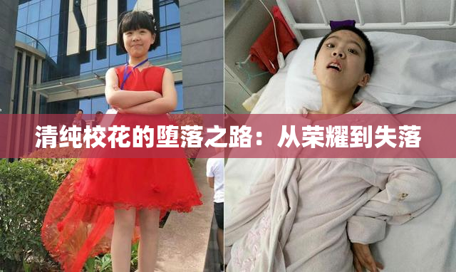 清纯校花的堕落之路：从荣耀到失落