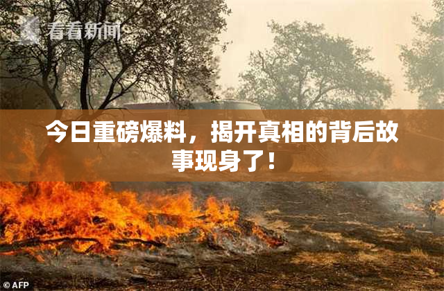 今日重磅爆料，揭开真相的背后故事现身了！
