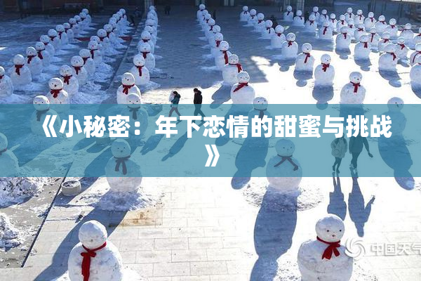 《小秘密：年下恋情的甜蜜与挑战》
