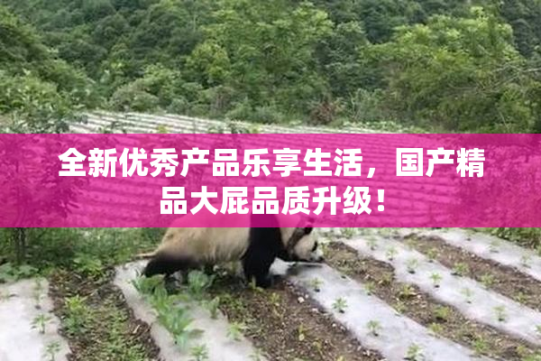 全新优秀产品乐享生活，国产精品大屁品质升级！