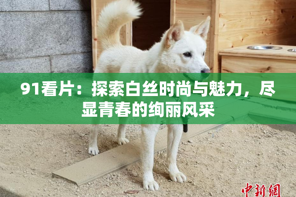 91看片：探索白丝时尚与魅力，尽显青春的绚丽风采