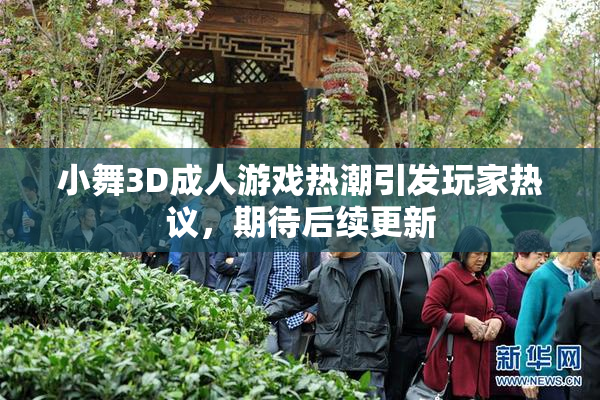 小舞3D成人游戏热潮引发玩家热议，期待后续更新