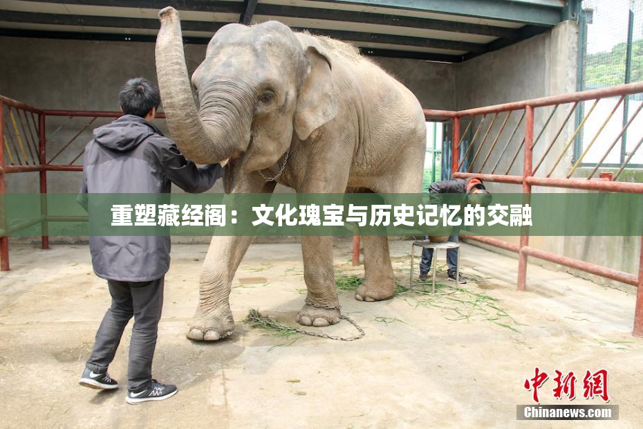 重塑藏经阁：文化瑰宝与历史记忆的交融