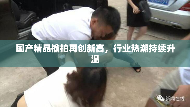 国产精品揄拍再创新高，行业热潮持续升温
