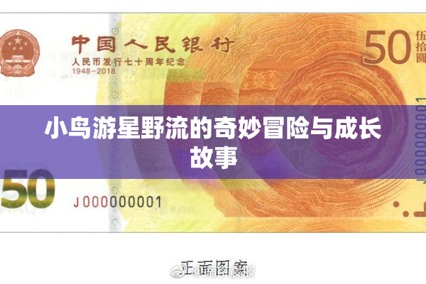 小鸟游星野流的奇妙冒险与成长故事