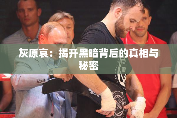 灰原哀：揭开黑暗背后的真相与秘密