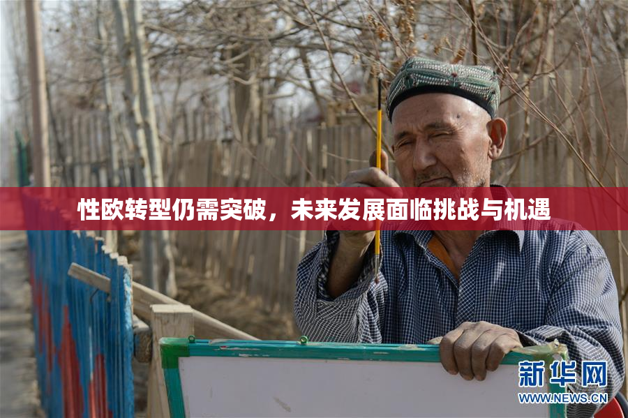 性欧转型仍需突破，未来发展面临挑战与机遇