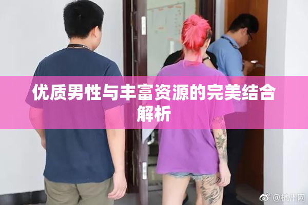 优质男性与丰富资源的完美结合解析