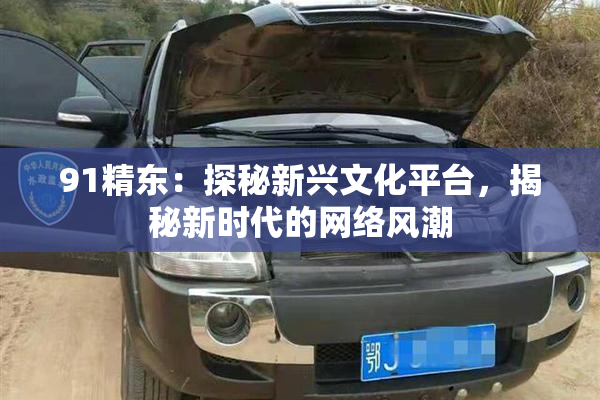 91精东：探秘新兴文化平台，揭秘新时代的网络风潮