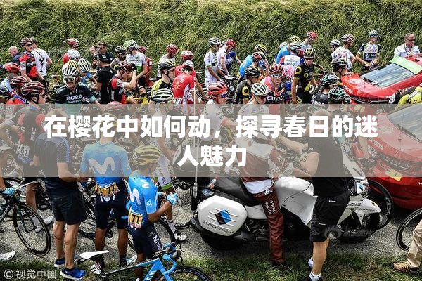 在樱花中如何动，探寻春日的迷人魅力