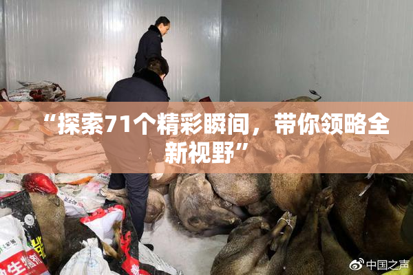 “探索71个精彩瞬间，带你领略全新视野”