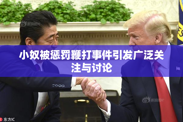 小奴被惩罚鞭打事件引发广泛关注与讨论