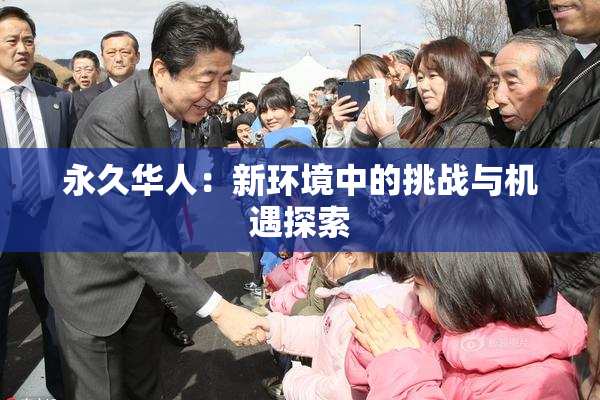 永久华人：新环境中的挑战与机遇探索