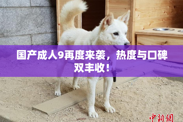 国产成人9再度来袭，热度与口碑双丰收！